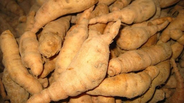 糖尿病一劑治好永不復發 。！ ！