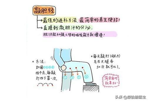 膽經，通經絡、生新發，養氣血，顯年輕，來敲敲