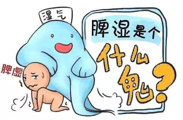 脾虛濕氣重怎麼調理好？學會1招，脾胃好了，祛濕更快 - 壹讀