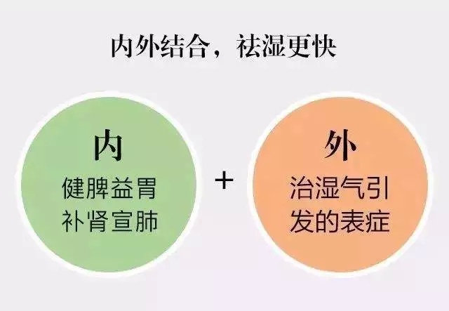脾虛濕氣重怎麼調理好？學會1招，脾胃好了，祛濕更快 - 壹讀