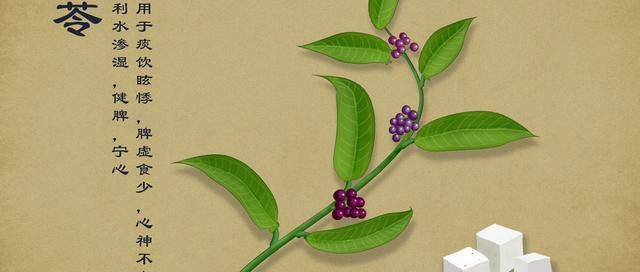 老人說「一兩茯苓一兩金」，春季茯苓好處多，但這3種做法，很多人都不知道
