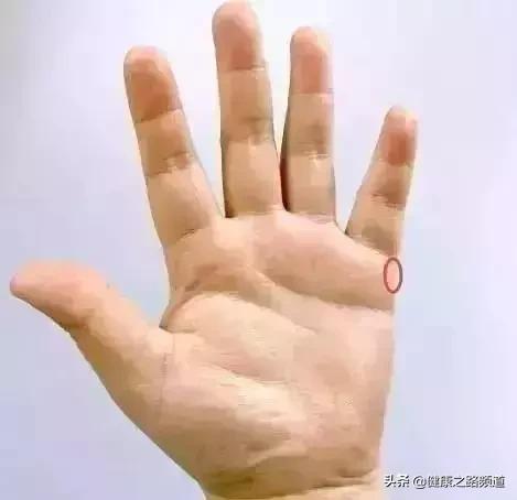 【捏捏手指，簡單預防7大疾病！】