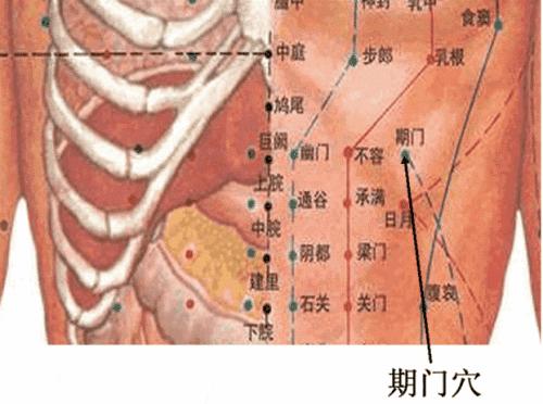 【每日一穴：期門穴】