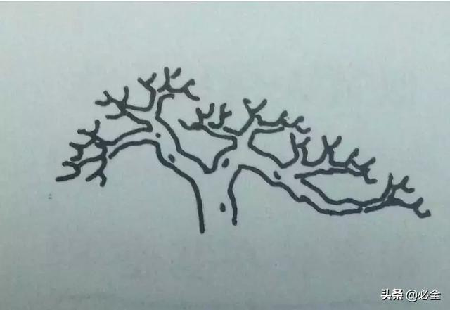 盆景中常見的結頂方式有哪些呢？