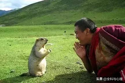 每天堅持這九件事，你會越來越順