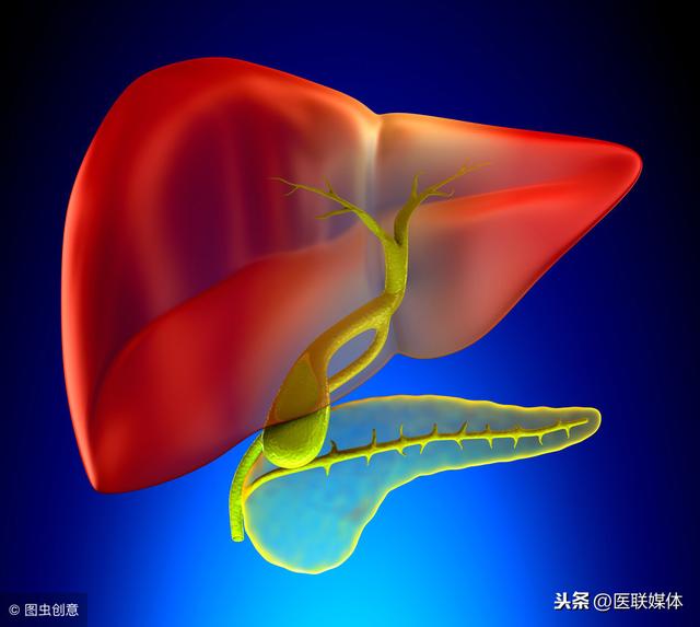 想要調養肝臟，先主動放棄這3類食物，別總是管不住嘴