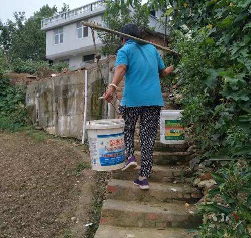 女子不能生育，從孤兒院領養一個男孩，小姑子知道後不願意