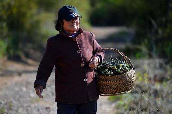 婆婆故意刁難媳婦，不料媳婦流產住院，得知媳婦身份傻住