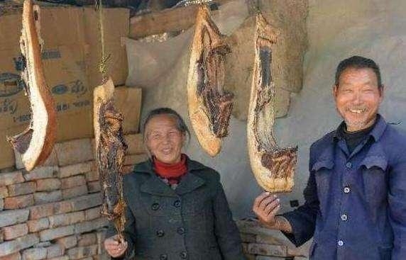 大爺的妻兒相繼去世，他無人送終，癱瘓在床，來個女兒，他驚住了