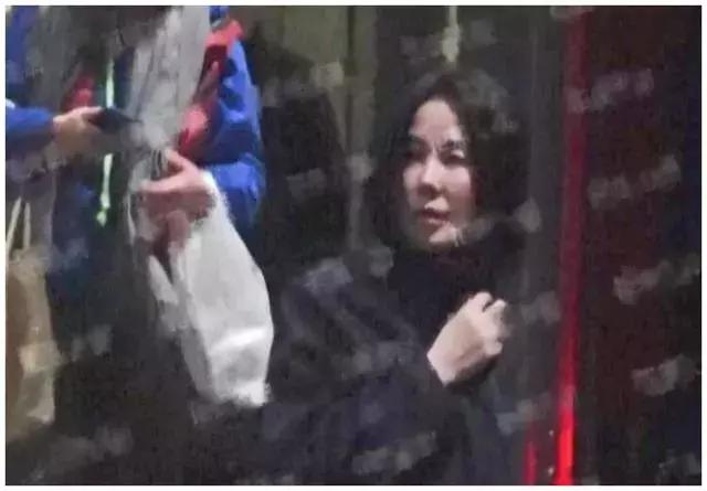 王菲被傳感情不和首次現身，疑似「整形」失敗，網友：這是天后？