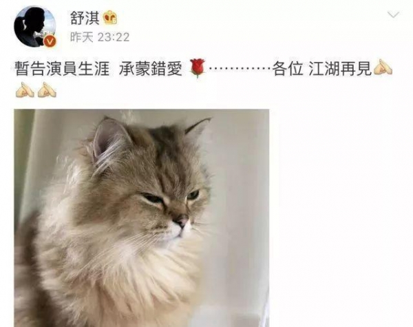 舒淇真的慘！發文暫告演藝圈，4個月沒工作，近照曝光，網友：整張臉太恐怖了。。