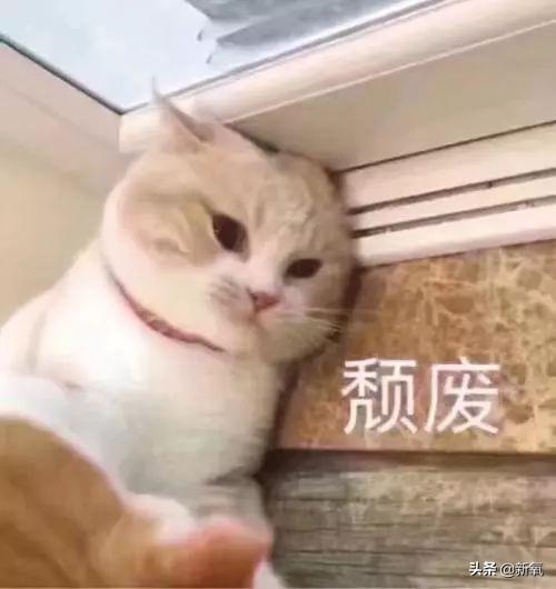 被向太拖進豪門的郭碧婷因800萬鑽戒被酸了？向佐回復甜炸了！
