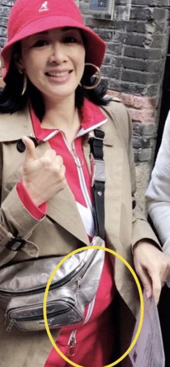49歲鍾麗緹懷孕添實錘？小腹隆起，高齡還要生子被指太拼了