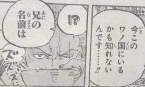 海賊王939話：神秘人出現，紅心團重傷，豹大叔教導路飛高級霸氣