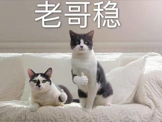 2019世界最安全國度排行榜，前十隻有一個亞洲國家，不是中國日本