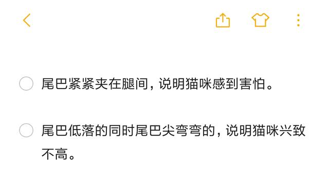 尾巴才是本體？貓咪與尾巴關係曝光，讓你輕易抓住貓咪的心！