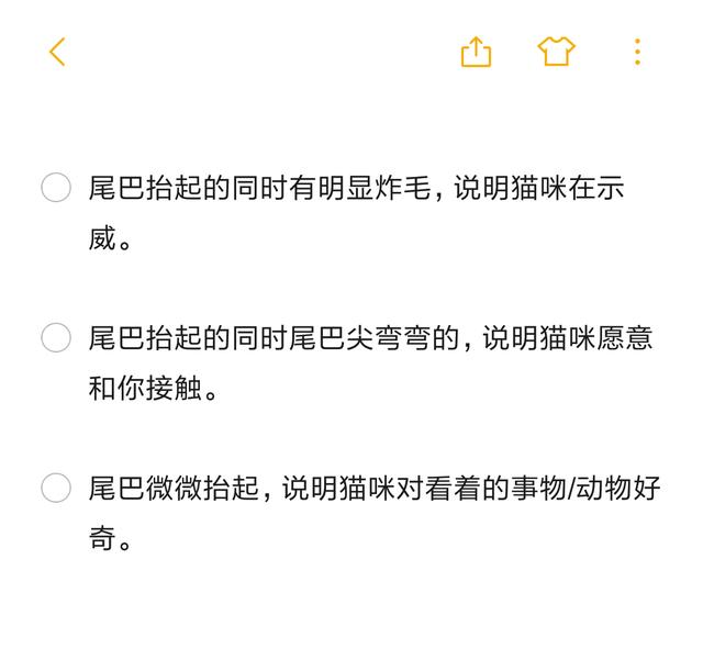 尾巴才是本體？貓咪與尾巴關係曝光，讓你輕易抓住貓咪的心！