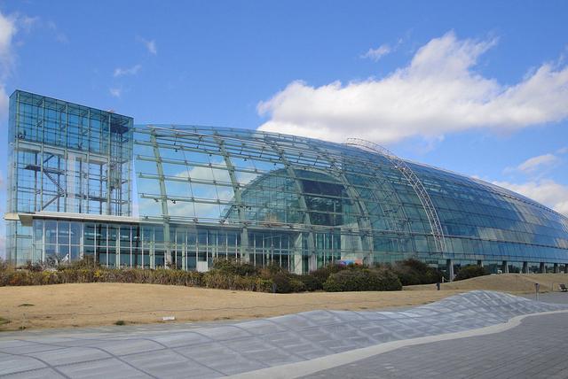 去日本，你一定要知道的，10個令人讚不絕口的水族館