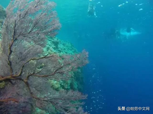 給你20個理由，這一生必去次帛琉！