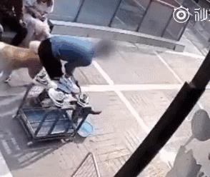 只因和女友吵架，他就將自家狗摔至骨折