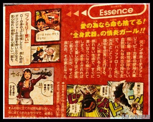海賊王官方情報：尾田公布明哥的女僕身世，如今成了路飛旗下成員