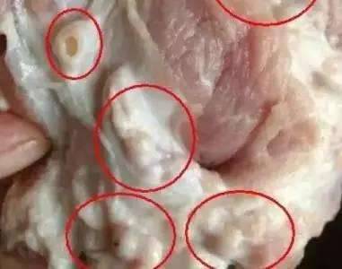 十年雞頭如砒霜？醫生建議：這8種肉最好別吃