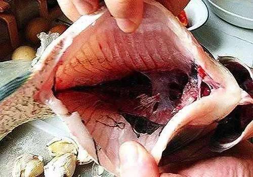 十年雞頭如砒霜？醫生建議：這8種肉最好別吃