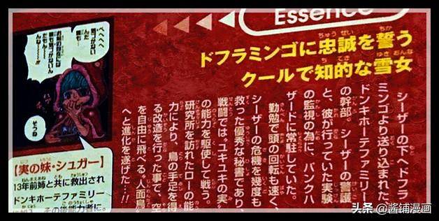 海賊王官方情報：尾田公布莫奈身世，身體已改造同時擁有稀有果實