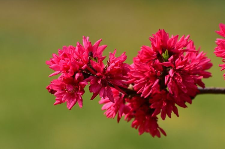 4月12號起財運如虹，5生肖橫財發千萬，大富大貴不差錢！