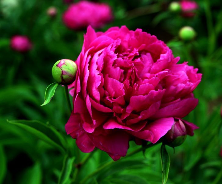 4月12號起財運如虹，5生肖橫財發千萬，大富大貴不差錢！