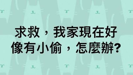 女驚恐發文「家有小偷」 警破門傻眼