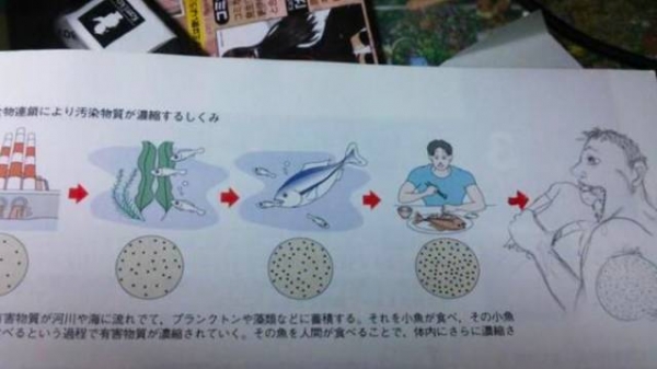 16張證明「日本小孩絕對沒有極限」的超狂課本塗鴉　網崩潰：他們都看什麽長大的？