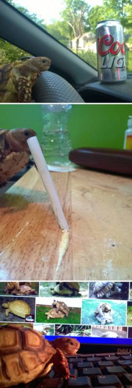 24位使盡吃奶力氣確保感情永遠不會無聊的男友/腦公們！~~~