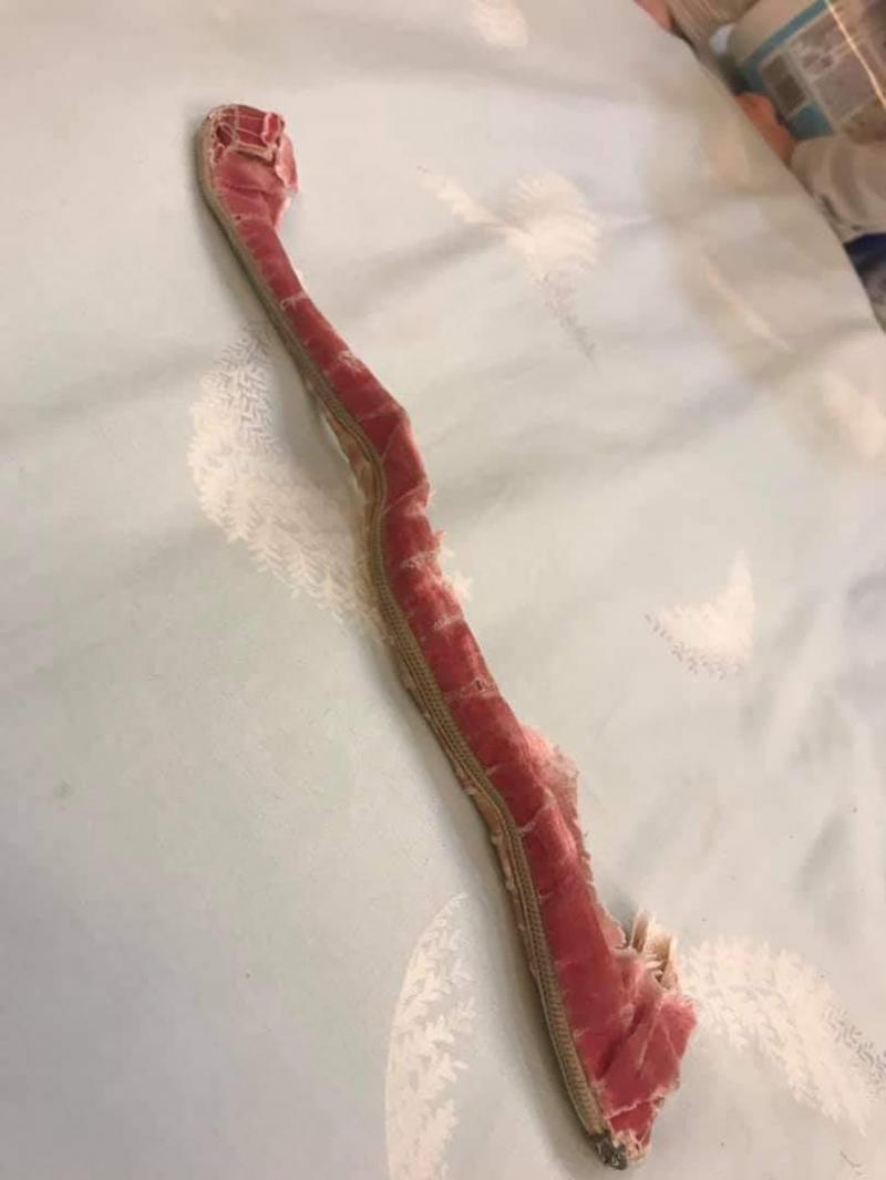陪伴妹妹22年的寶貝竟變成謎樣生物，一路「吃」到現在已經讓人猜不透原形！網友：吃了22年真是物超所值！ 