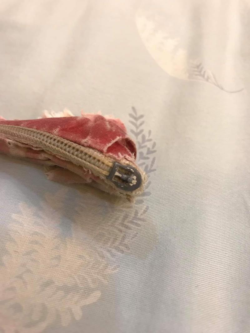 陪伴妹妹22年的寶貝竟變成謎樣生物，一路「吃」到現在已經讓人猜不透原形！網友：吃了22年真是物超所值！ 