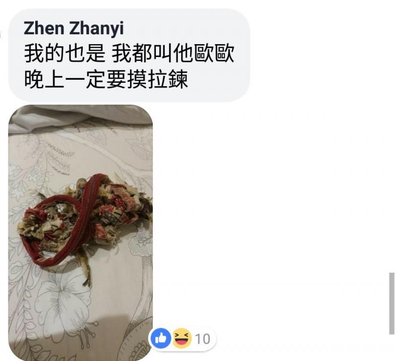 陪伴妹妹22年的寶貝竟變成謎樣生物，一路「吃」到現在已經讓人猜不透原形！網友：吃了22年真是物超所值！ 