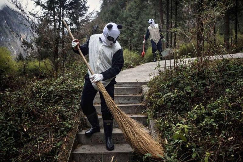 工作人員Cosplay「熊貓人」假扮同類　小熊貓竟真的相信「還乖乖做檢查」