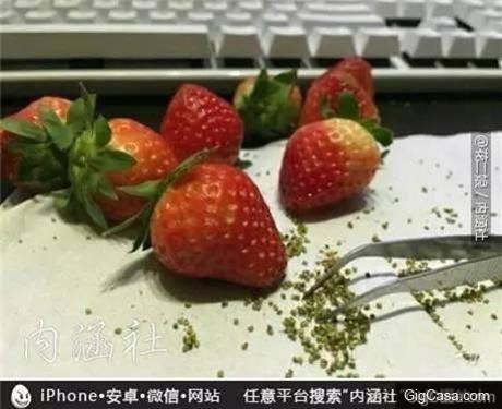 31張照片讓我笑抽了！尤其是第22張，妹子在家裡睡成這樣...看到差點硬了！