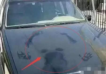 30張搞笑圖，妹子明知道衣服不防水還硬要游泳，難怪差一點就要被看穿啦了！ 