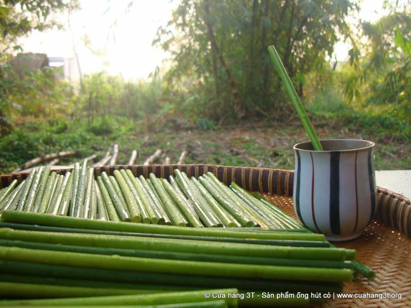 「植物吸管」幫解決塑膠垃圾問題　他的發明引起大家注意：超棒的點子 