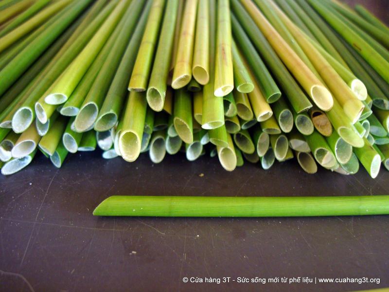 「植物吸管」幫解決塑膠垃圾問題　他的發明引起大家注意：超棒的點子 