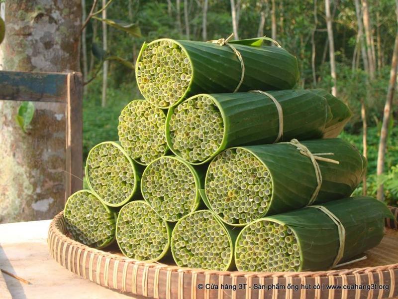 「植物吸管」幫解決塑膠垃圾問題　他的發明引起大家注意：超棒的點子 