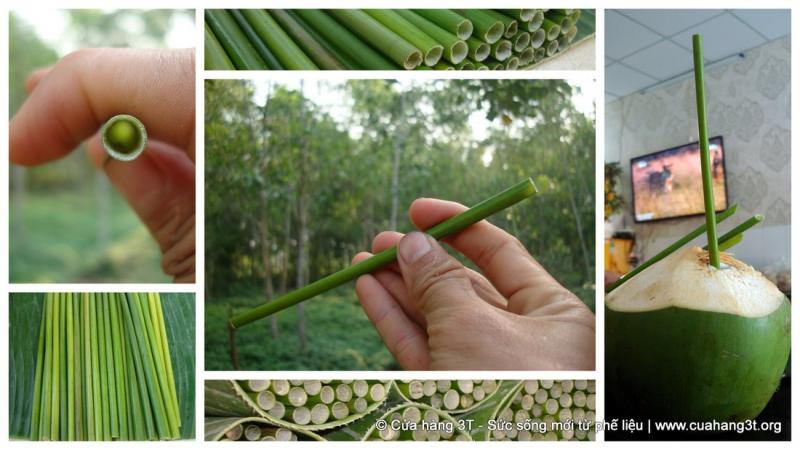 「植物吸管」幫解決塑膠垃圾問題　他的發明引起大家注意：超棒的點子 