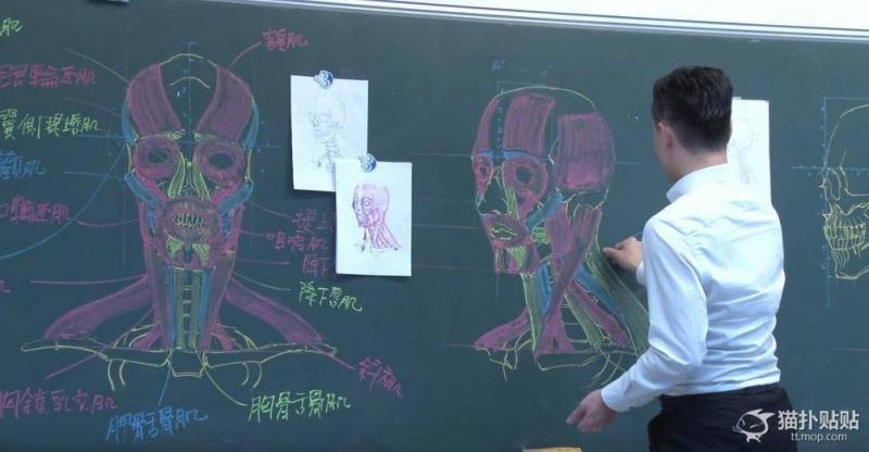 台灣帥講師把黑板當畫布　手繪超精緻「人體透視圖」強大到讓你不想看3D人骨架