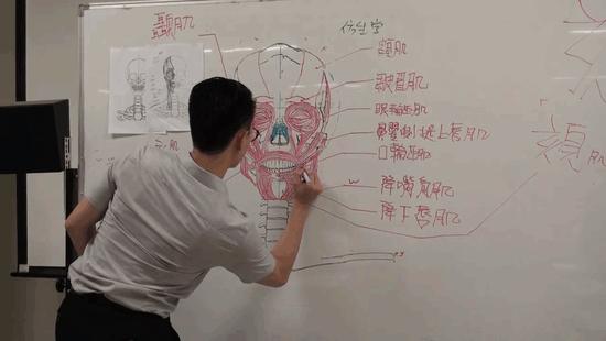 台灣帥講師把黑板當畫布　手繪超精緻「人體透視圖」強大到讓你不想看3D人骨架