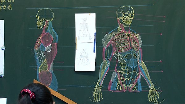 台灣帥講師把黑板當畫布　手繪超精緻「人體透視圖」強大到讓你不想看3D人骨架