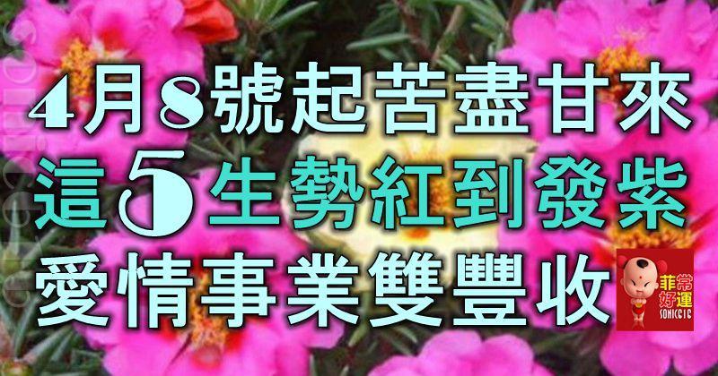 4月8號起苦盡甘來，這5生肖運勢紅到發紫，橫財大發，愛情事業雙豐收！