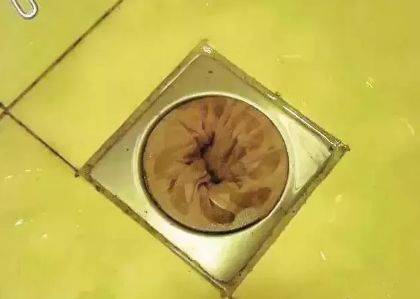 掃了30年的地才發現，塑膠袋套在掃把上，千家萬戶的難題就解決了！