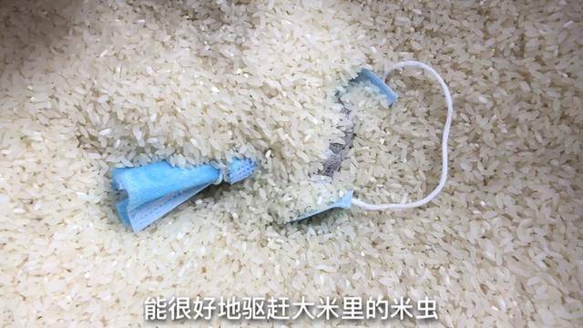 茶葉和大蒜放在一起，一年省下好多錢，儘快告訴家人，太厲害了