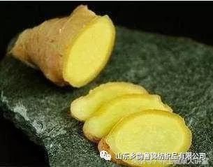 膝蓋疼、膝蓋響，一把香菜加生薑，膝蓋再也不疼了